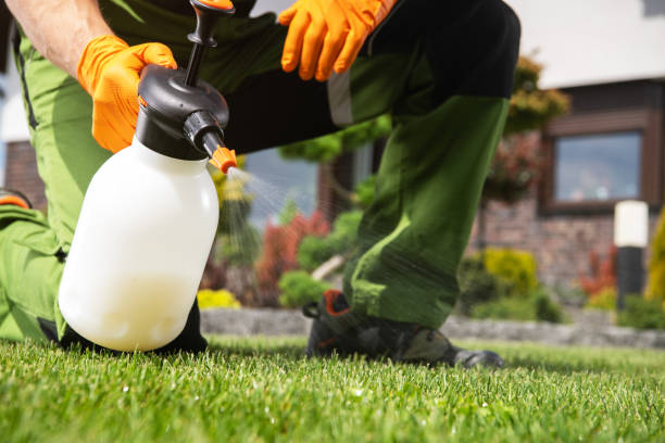 Best Emergency Pest Control  in Cottonwood, AL