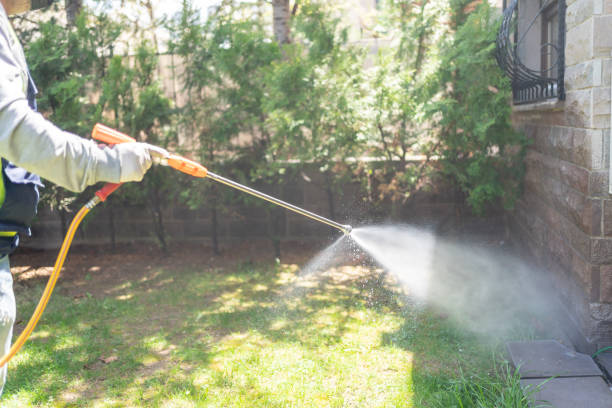 Best Wasp Removal Services  in Cottonwood, AL