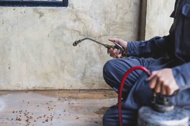 Best Termite Control Services  in Cottonwood, AL