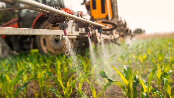 Best Ant Control Services  in Cottonwood, AL